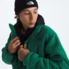 Retro Denali DTM-jacka för herr Retro Denali DTM-jacka för herr