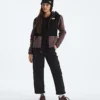 Retro Denali Hoodie för damer