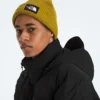 RMST GORE-TEX® Nuptse Tek-jacka för herr RMST GORE-TEX® Nuptse Tek-jacka för herr