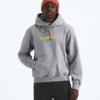 TNF™ Essential Expedition Series Hoodie för herr – Grafik TNF™ Essential Expedition Series Hoodie för herr – Grafik