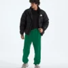 TNF™ Essential Simple Dome Relaxed Pants för herr TNF™ Essential Simple Dome Relaxed Pants för herr