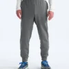 TNF™ Performance Fleece SW-byxor för herr