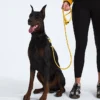 TNF™ Pet Leash TNF™ Pet Leash