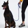 TNF™ Pet Leash TNF™ Pet Leash