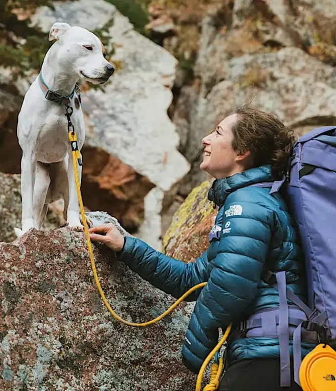 TNF™ Pet Leash TNF™ Pet Leash