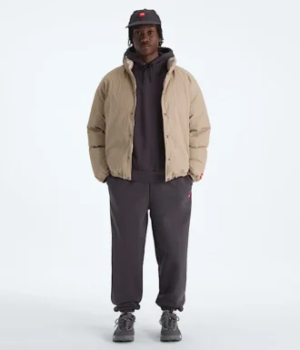 TNF™ Red Box dunjacka